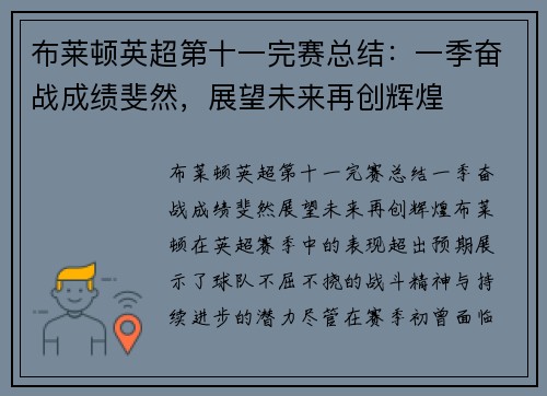 布莱顿英超第十一完赛总结：一季奋战成绩斐然，展望未来再创辉煌